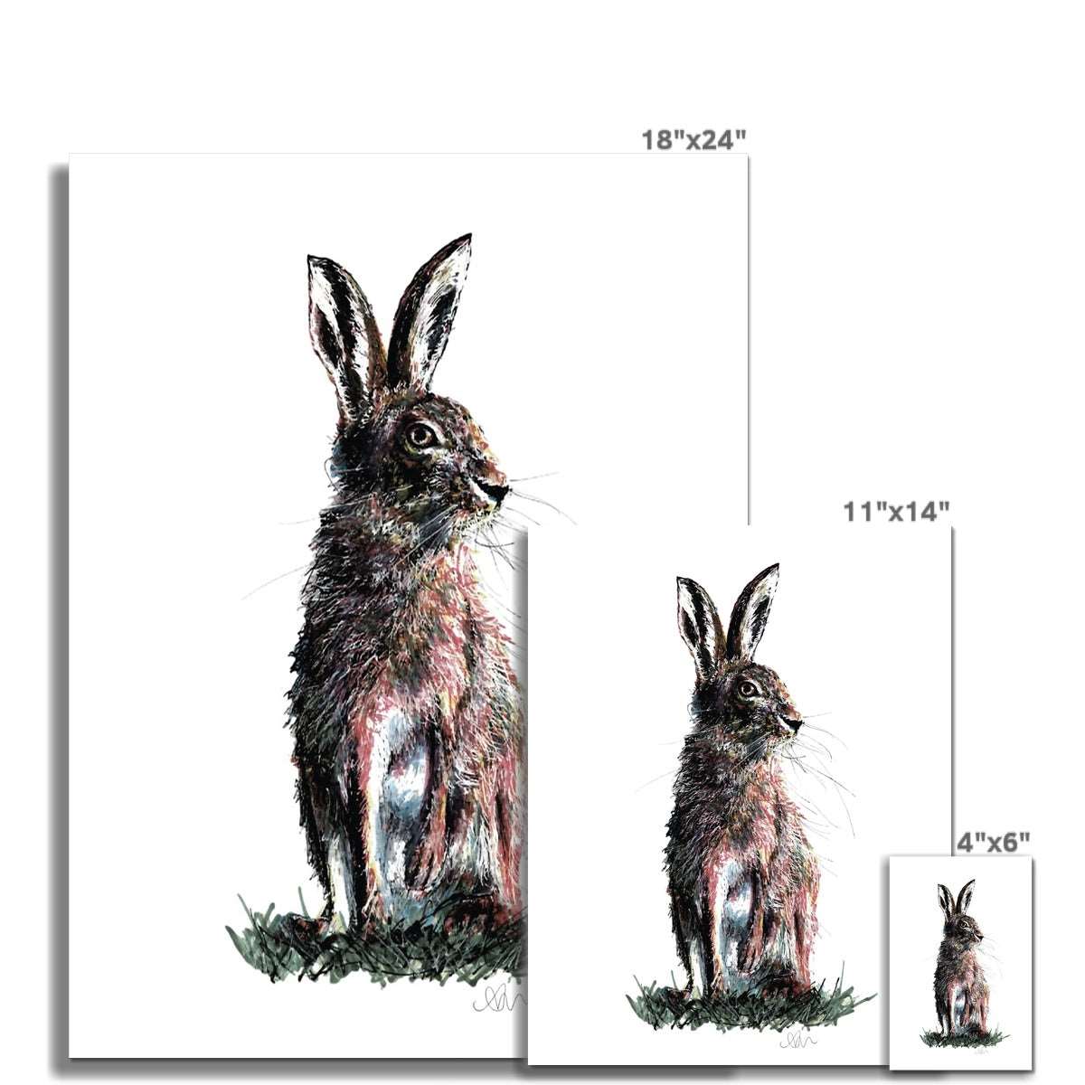 Rustic Hare Art Print