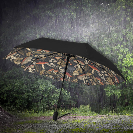 Mushrooms Umbrella